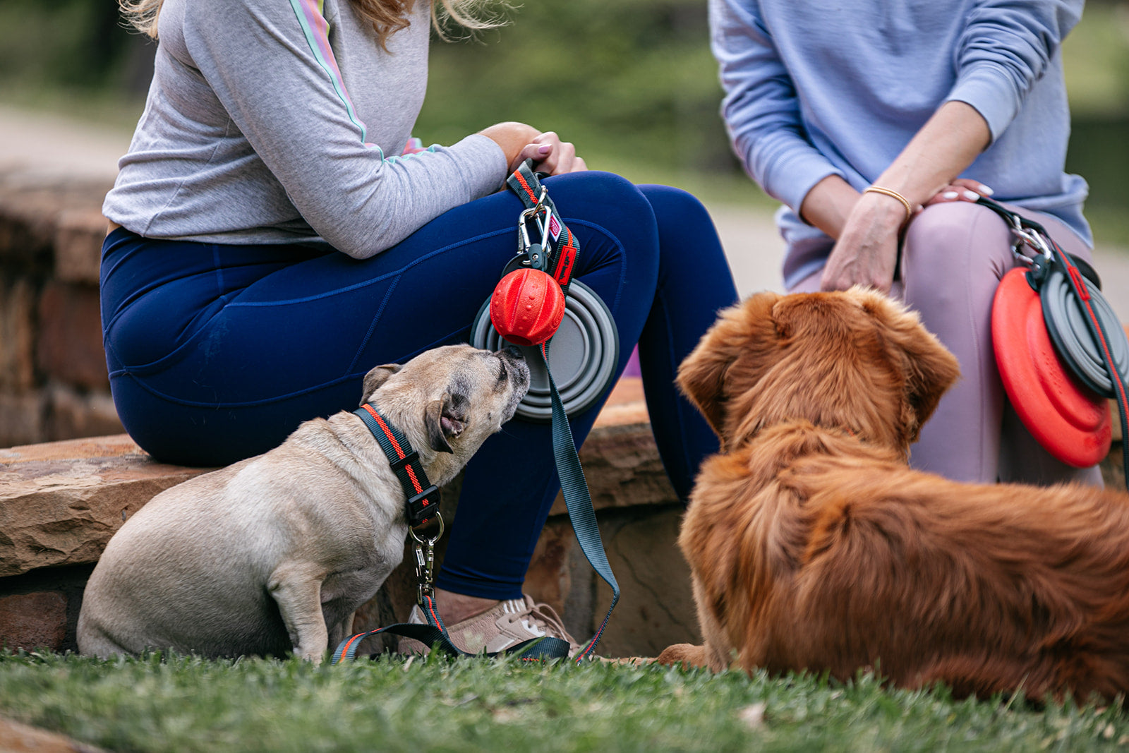 Off-Leash Hands-Free Walking Set