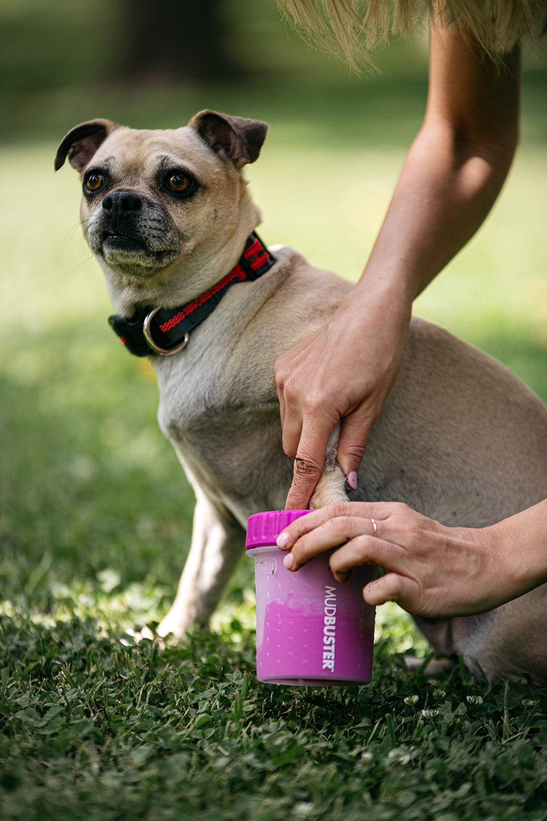 MudBuster® - As Seen On TV *New colors!*