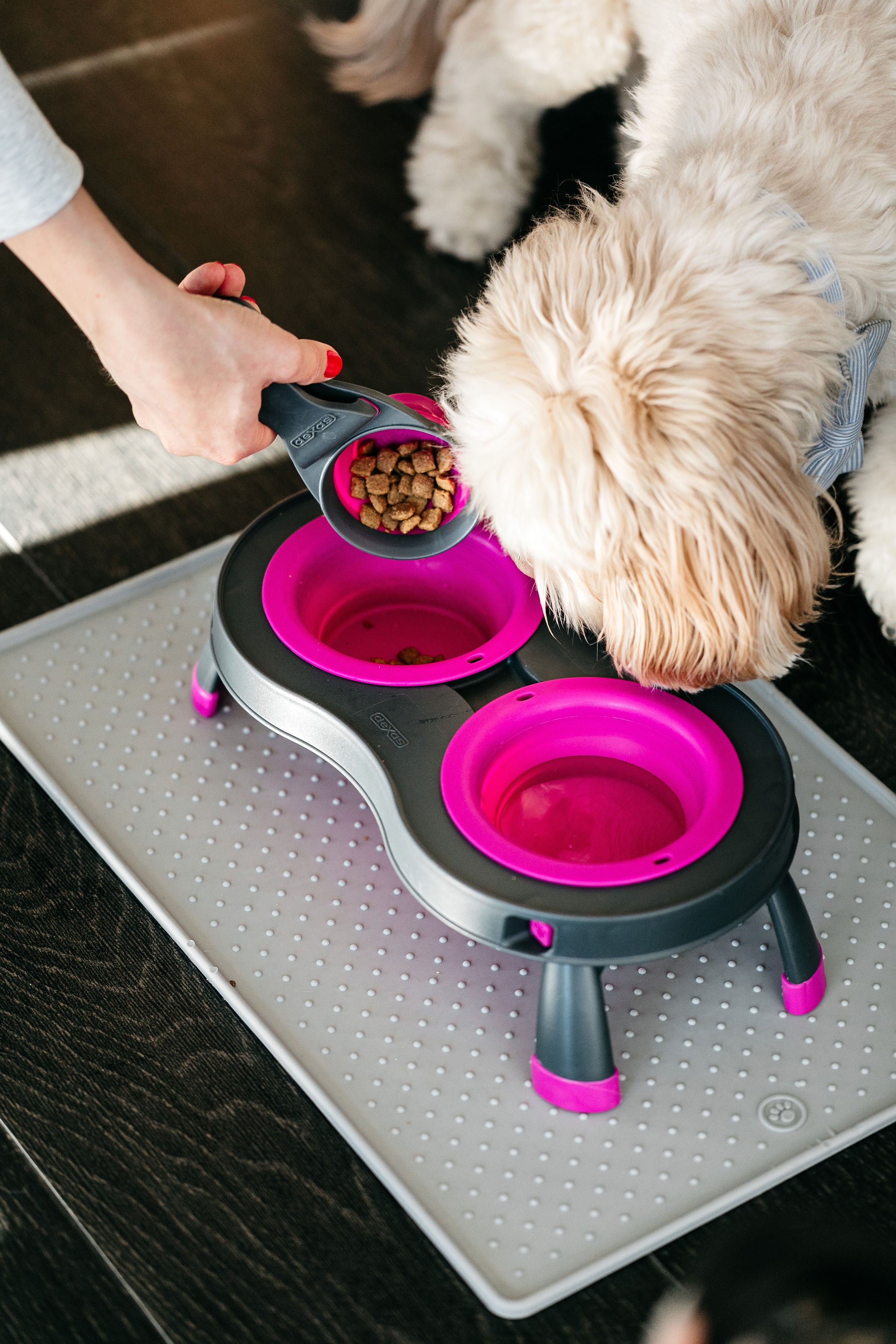 Double Elevated Feeder *New colors!*