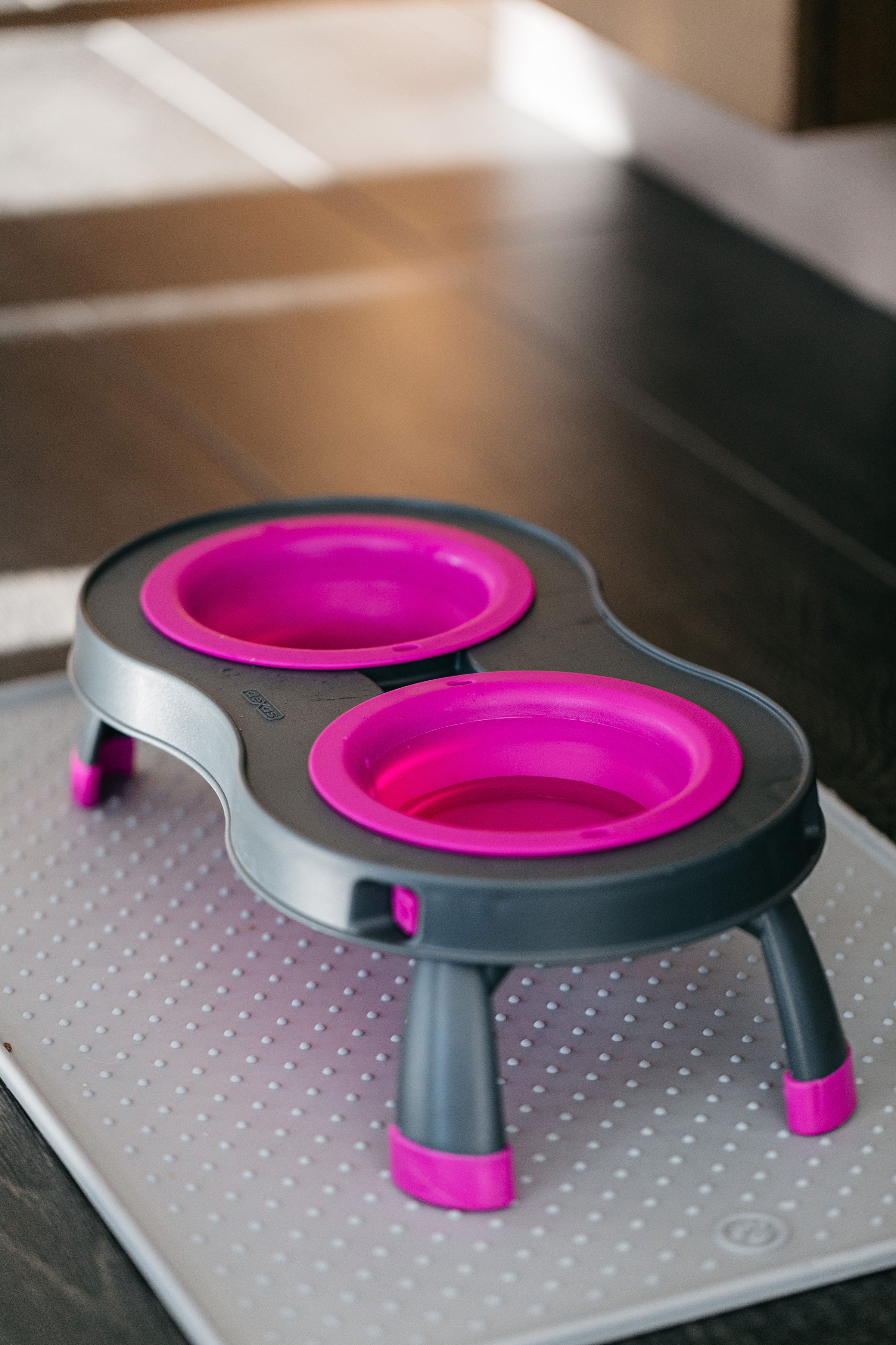 Double Elevated Feeder *New colors!*