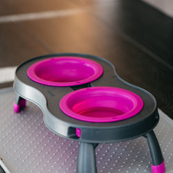 Double Elevated Feeder *New colors!*
