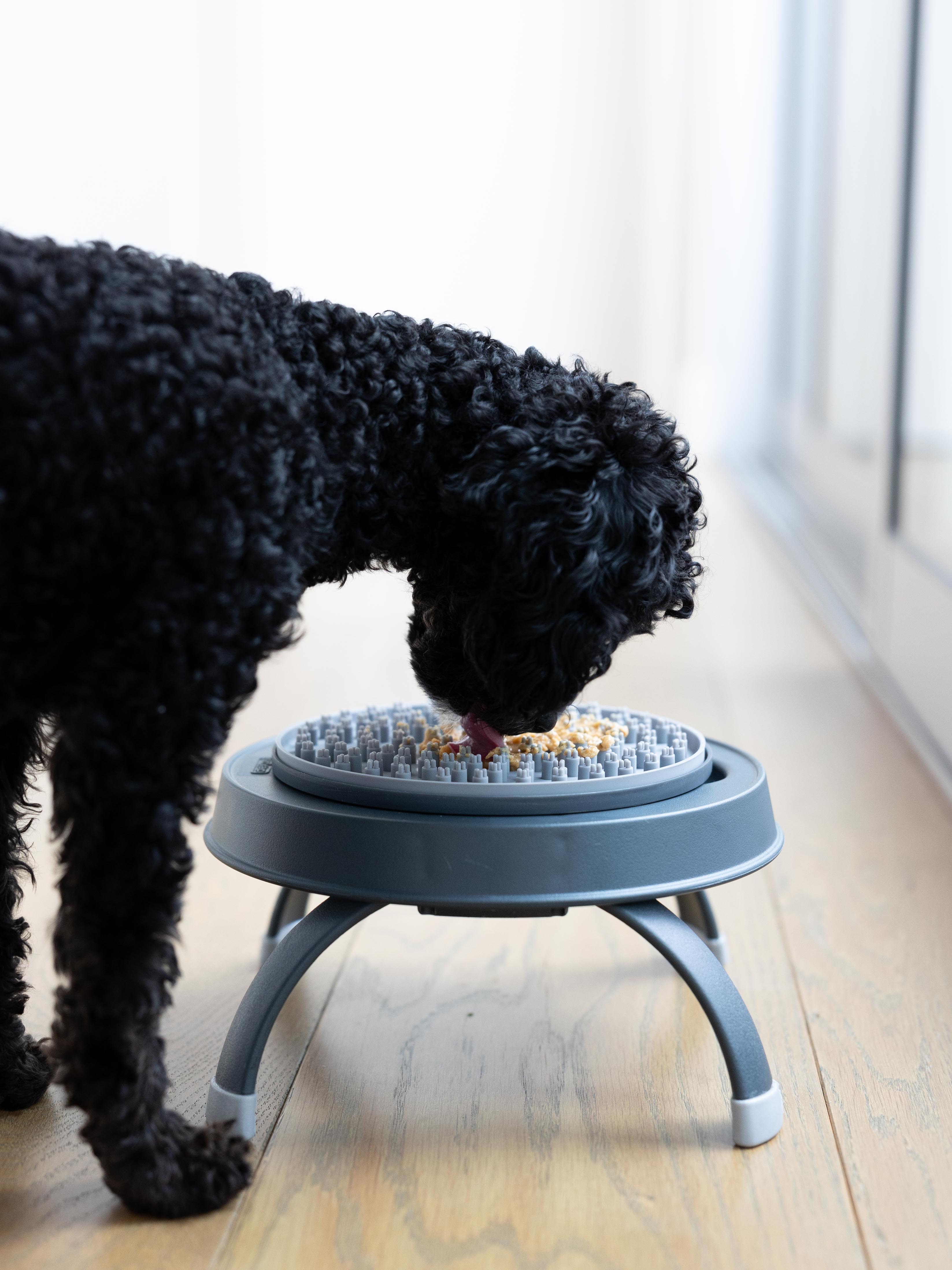*NEW! Award Winning* Snack & Distract Elevated Lick Mat