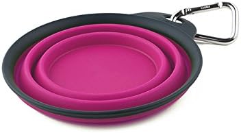 Collapsible Travel Cup *New colors!*