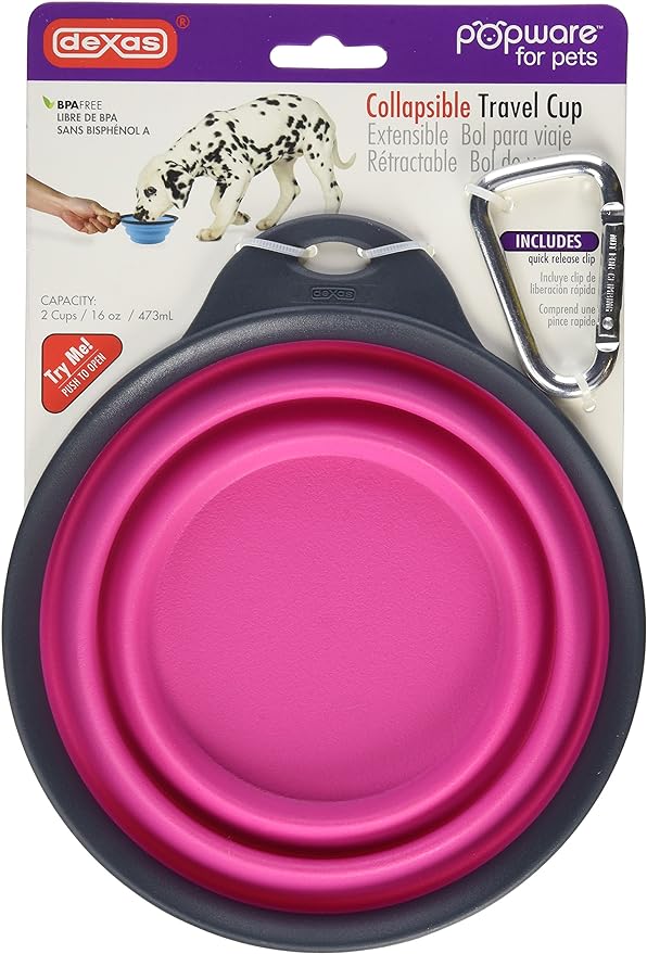 Collapsible Travel Cup *New colors!*
