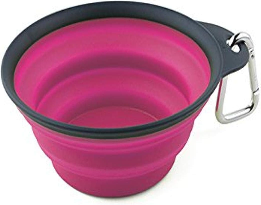 Collapsible Travel Cup *New colors!*