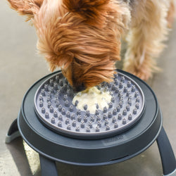 *NEW!* Snack & Distract Elevated Lick Mat