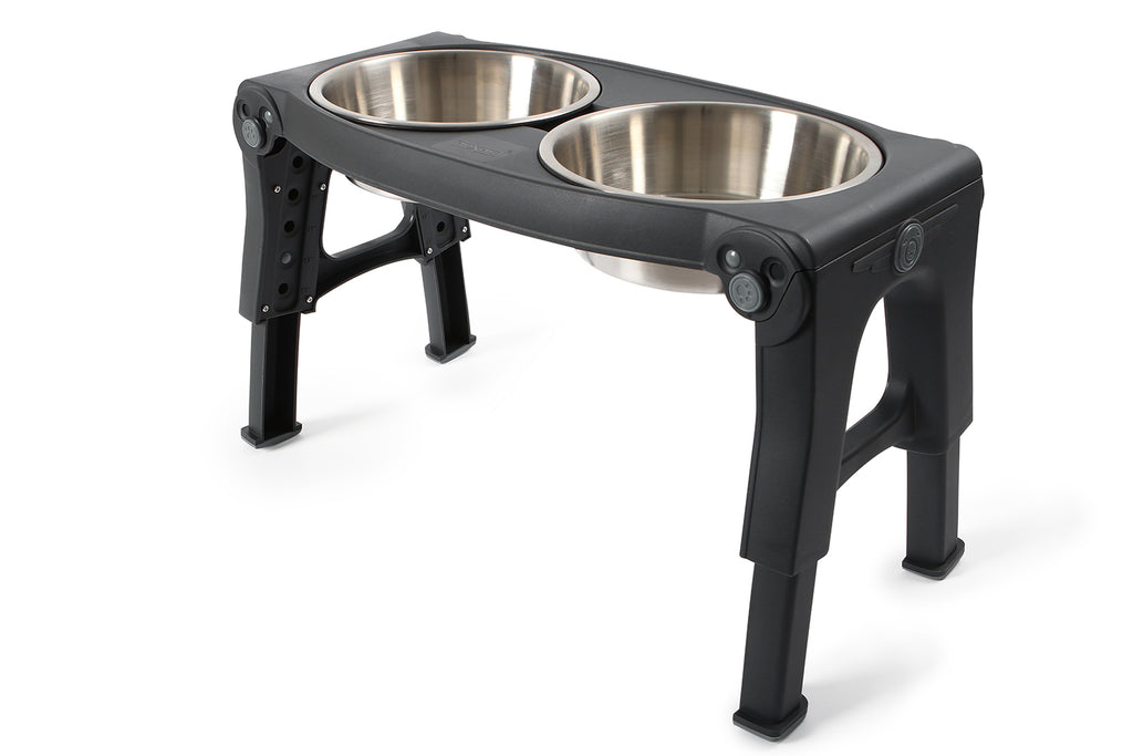 Americat Stainless Steel Cat Bowl & Stand - Hound About Town