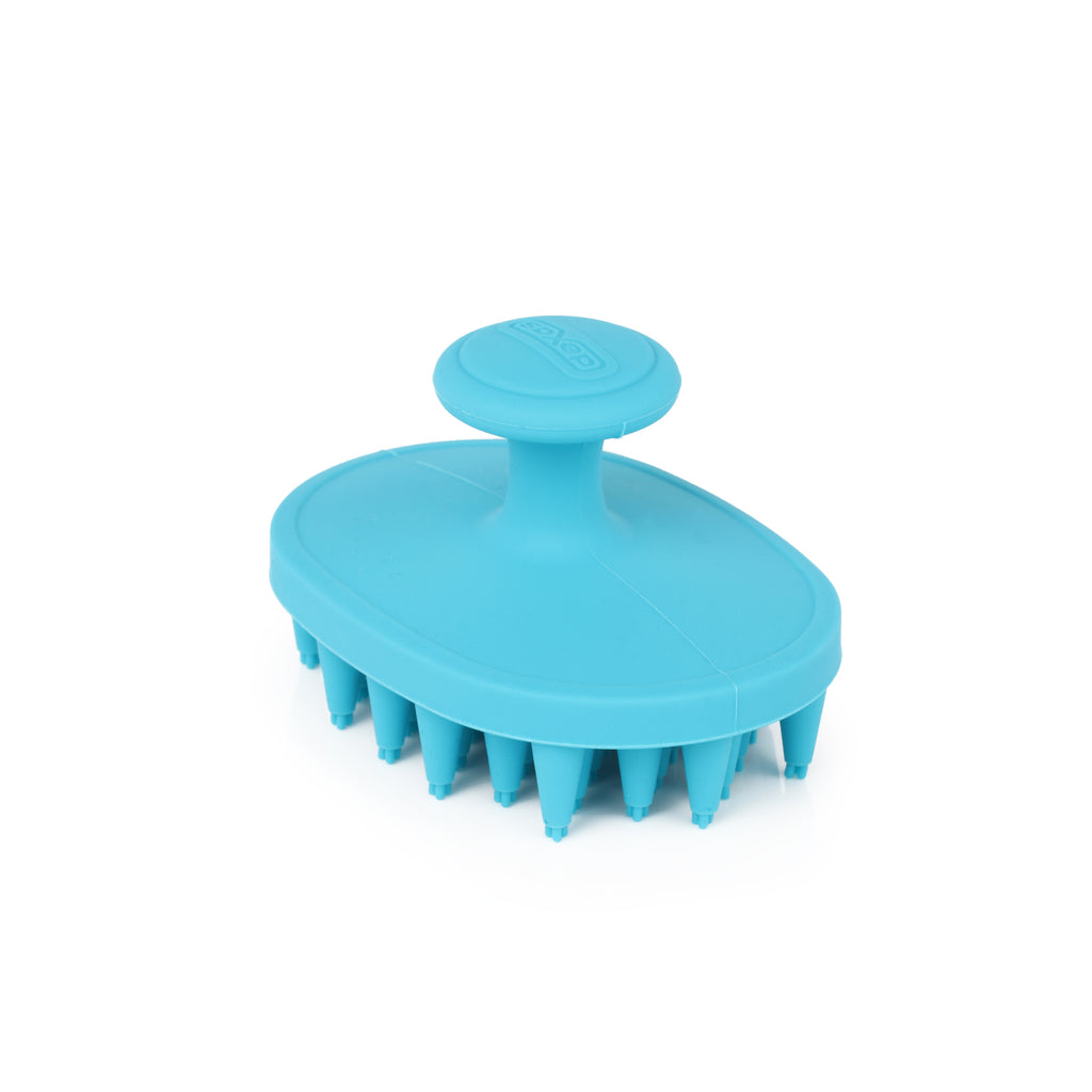 https://store.dexas.com/cdn/shop/products/brushbuster_blue_angle2_1024x1024.jpg?v=1511799466