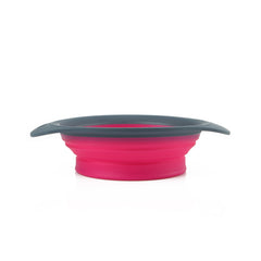 Everyday Collapsible Pet Bowl
